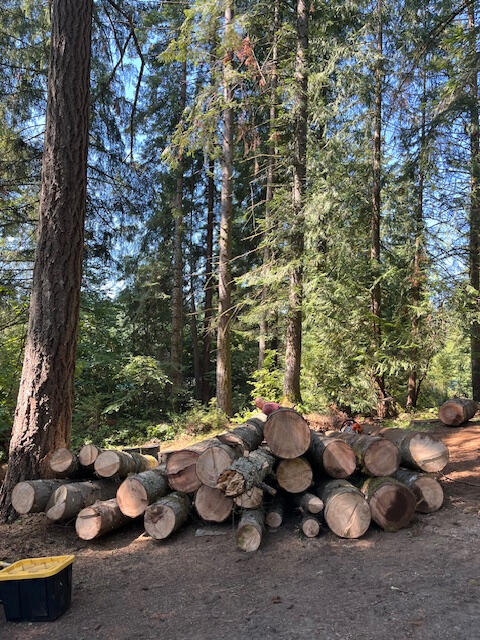 * Complete tree removal * Tree climbing and limbing *Tree felling *Firewood cutting * Hazardous branch removal * Creating d * Complete tree removal * Tree climbing and limbing *Tree felling *Firewood cutting * Hazardous branch removal * Creating defensible space - Reduce wildfire risk by clearing hazardous trees and brush to open up safe, defensible zones around your prope